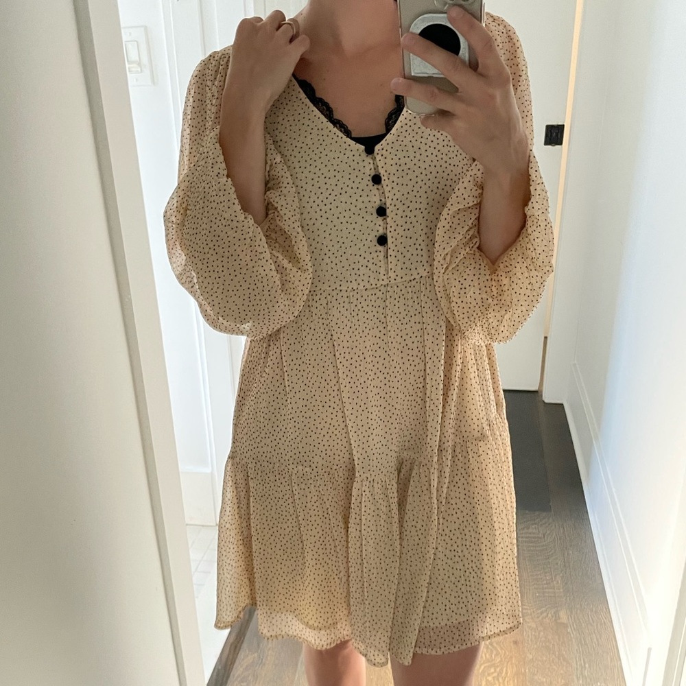 Zara Polka Dot Dress